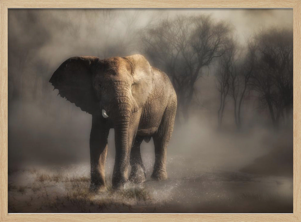 „… ein Elefant trinkt Wasser …“ | Poster