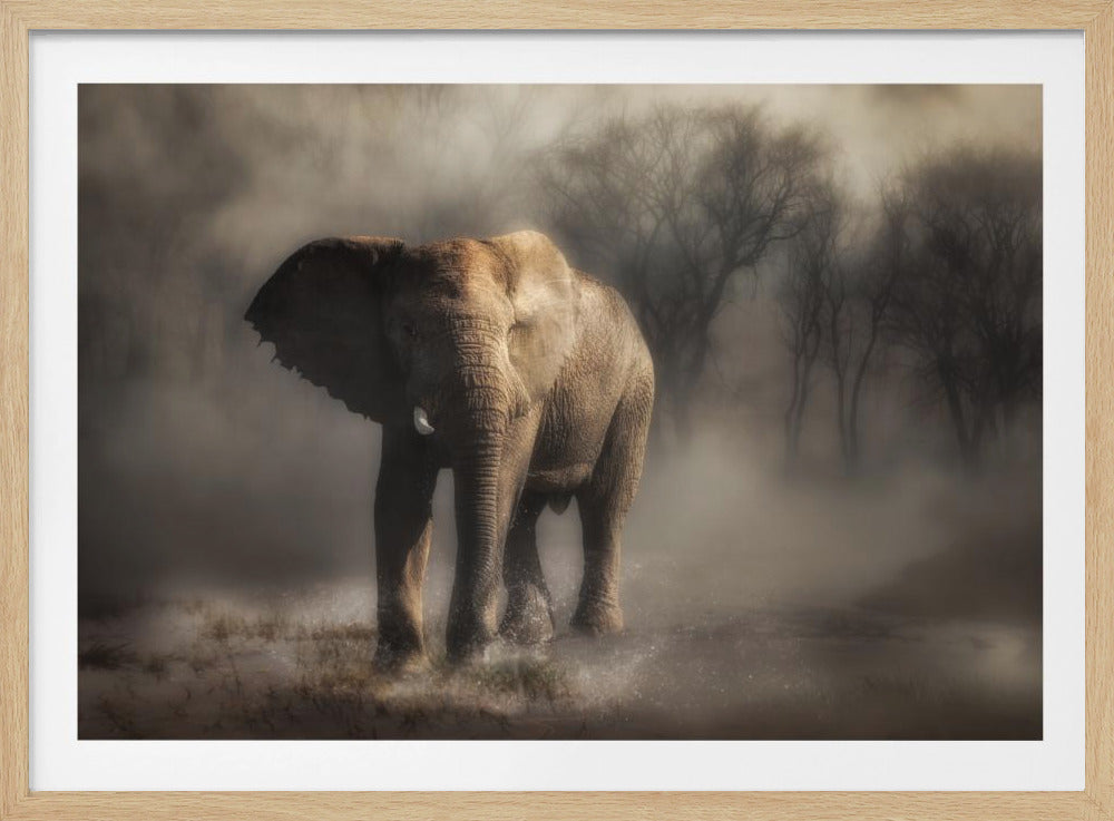 „… ein Elefant trinkt Wasser …“ | Poster