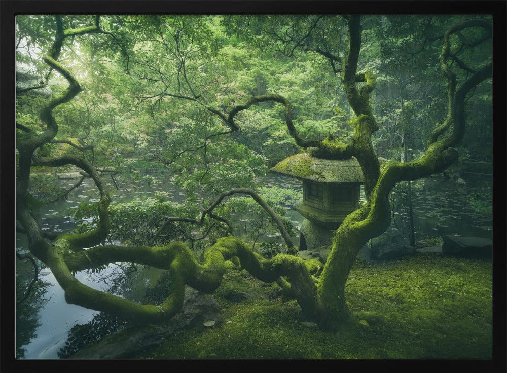 Japanischer Baum | Poster