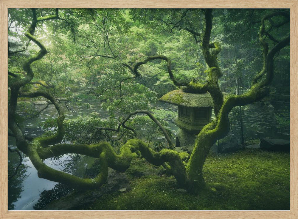 Japanischer Baum | Poster