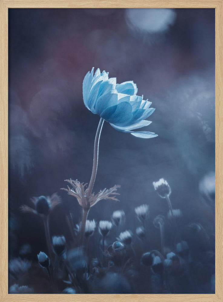Eine kurze Blumengeschichte | Poster
