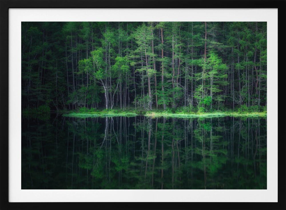 Grüne Welt | Poster