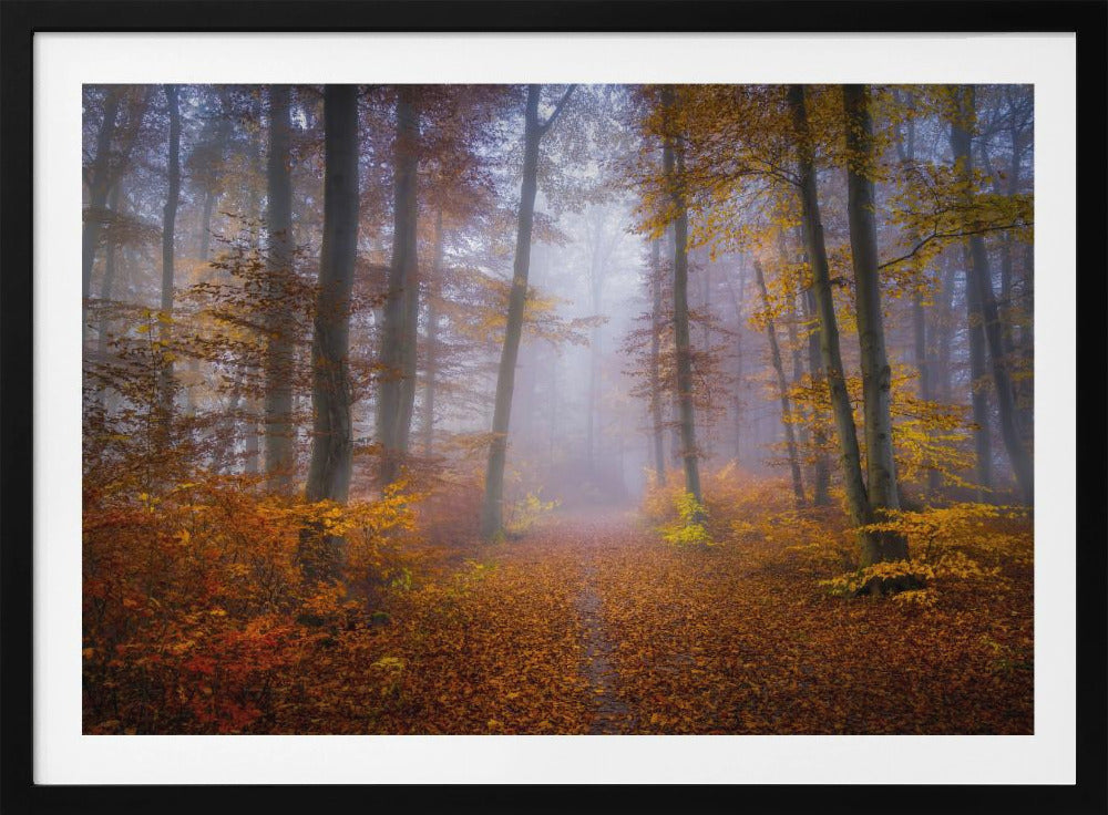 Oktoberpfad | Poster