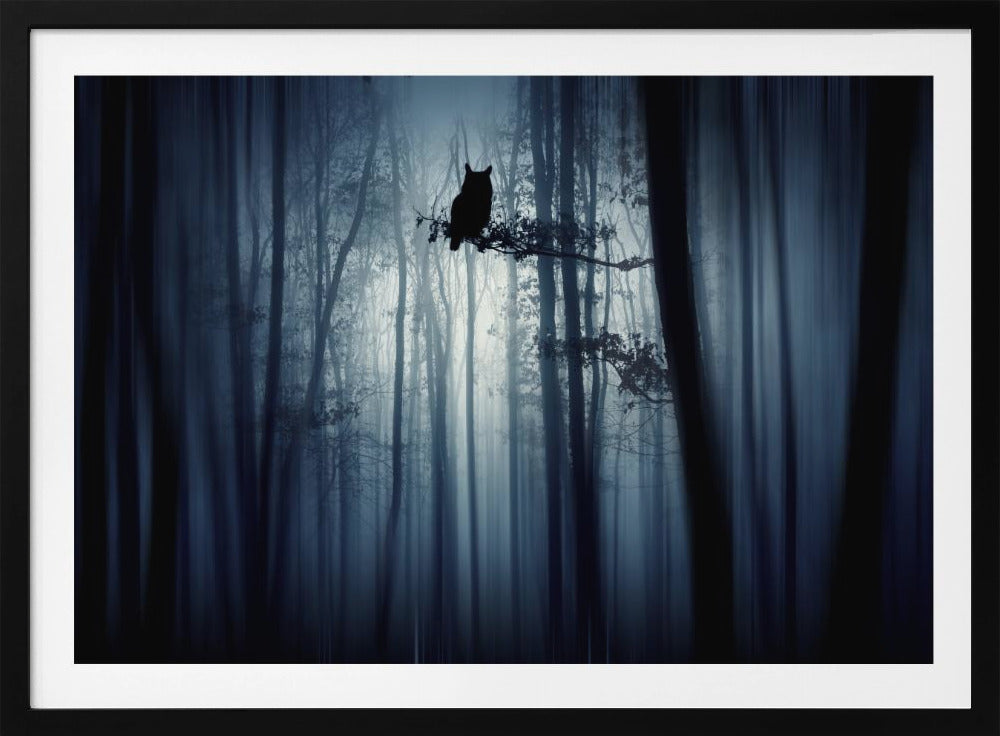 Im Wald | Poster