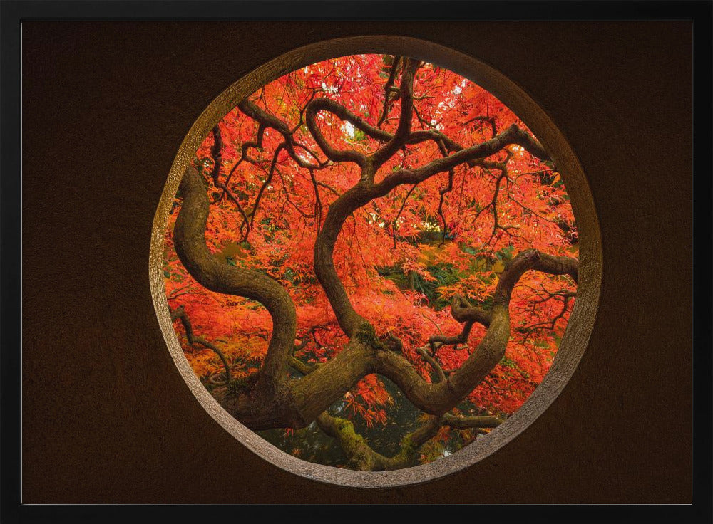 Herbstgefühl | Poster