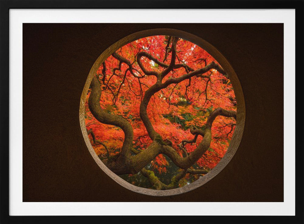 Herbstgefühl | Poster