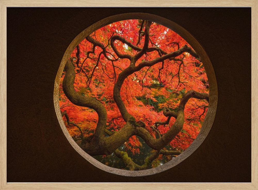 Herbstgefühl | Poster
