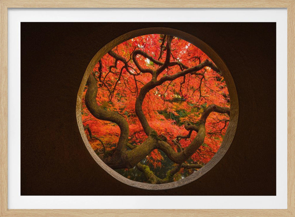 Herbstgefühl | Poster