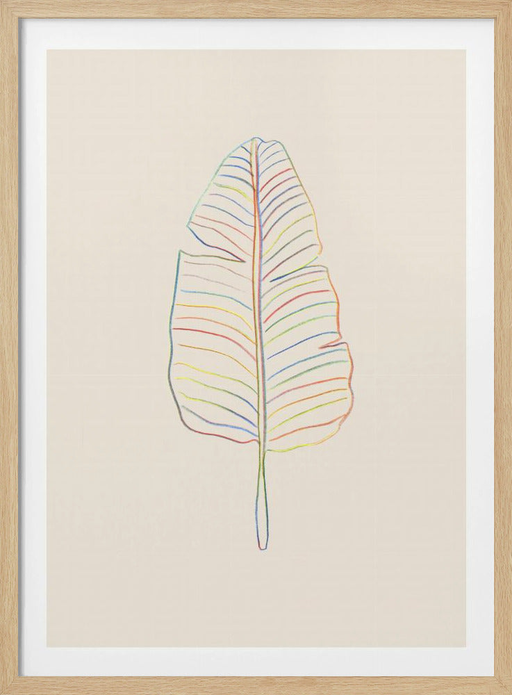 Bananen-Regenbogenblatt | Poster