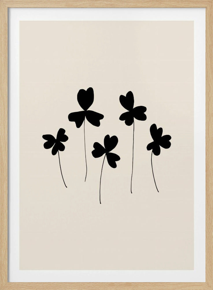 Schwarzer Sauerampfer | Poster