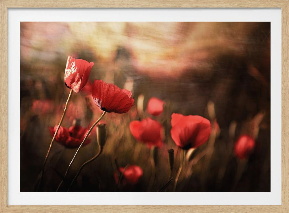 Morgenluft | Poster