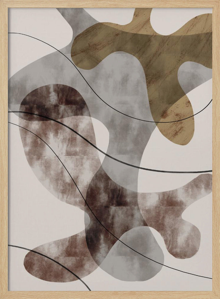 Braune Algen | Poster
