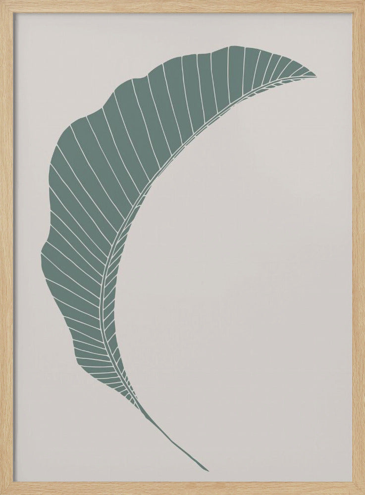 Bananenblatt Grün | Poster