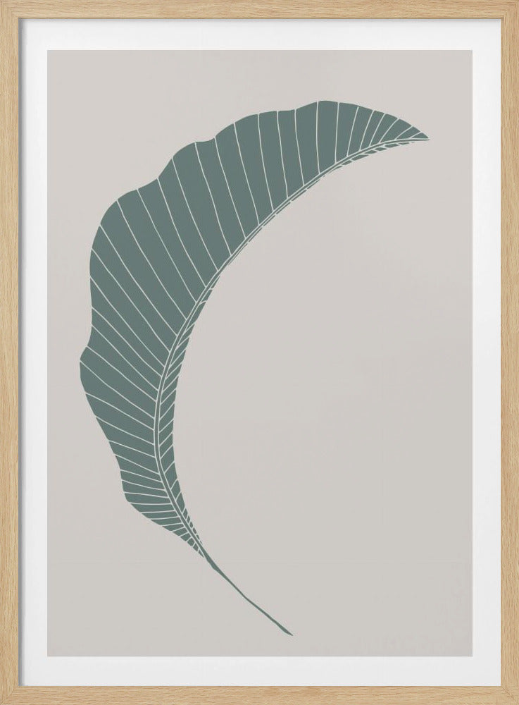 Bananenblatt Grün | Poster