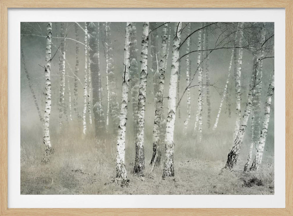 Morgenstille | Poster