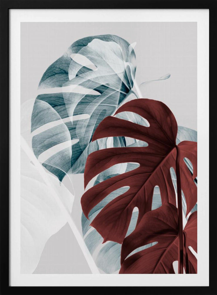 Monstera Creative 18 | Poster