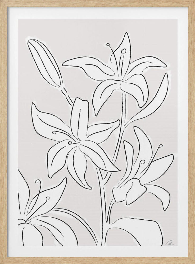 Lilien Nr. 03 | Poster