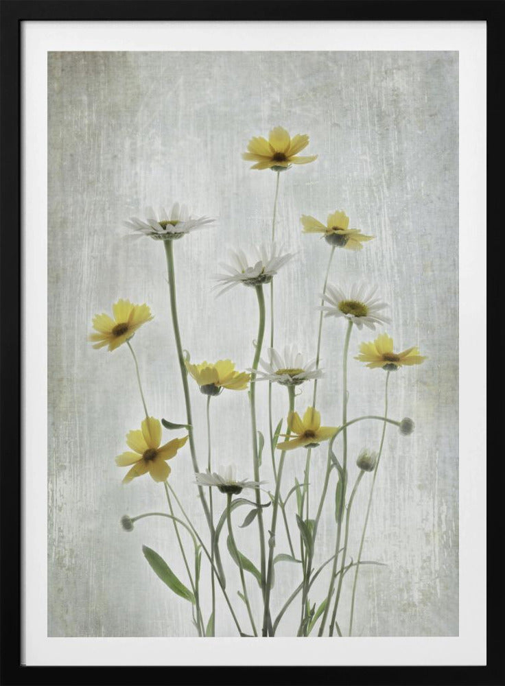 Sommerblumen | Poster