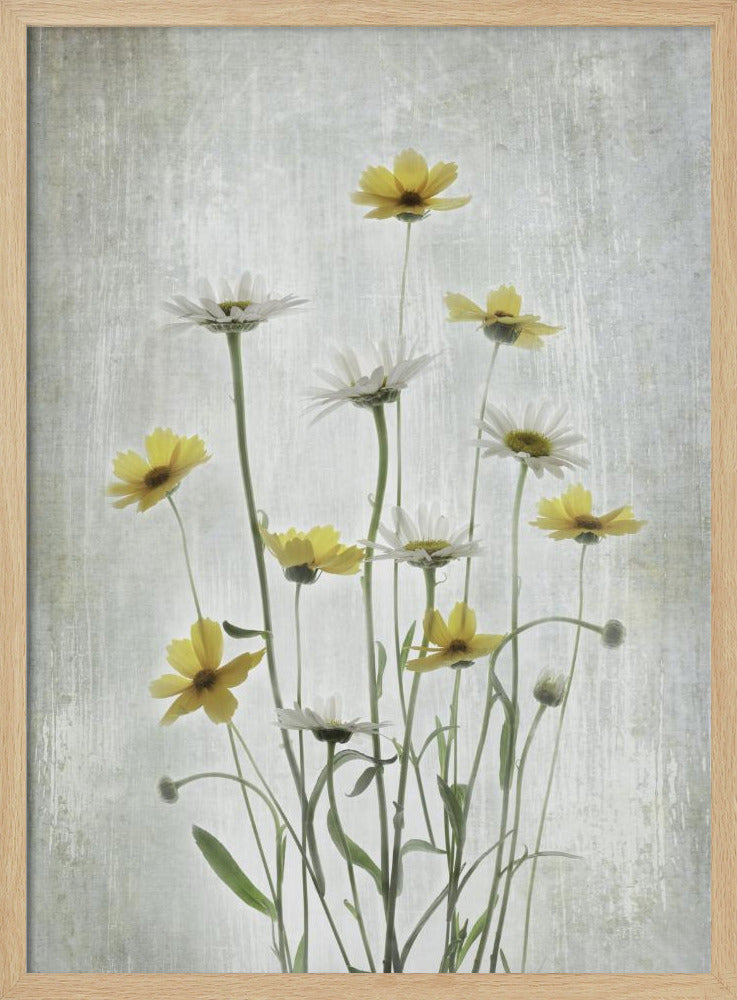 Sommerblumen | Poster