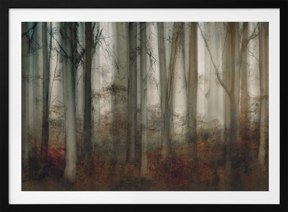 Herbstlicht | Poster