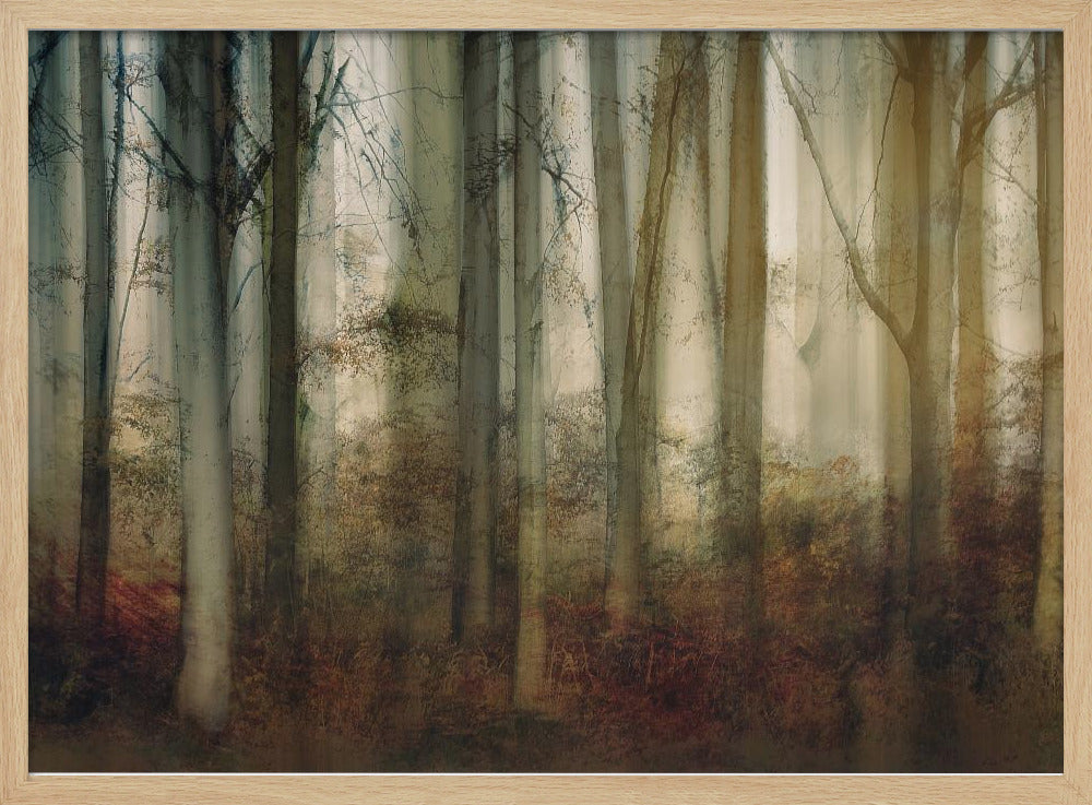 Herbstlicht | Poster