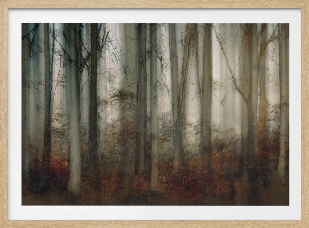Herbstlicht | Poster
