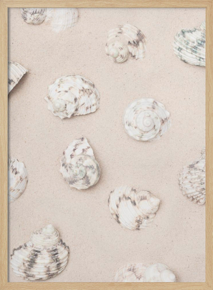 Shells_2 | Poster