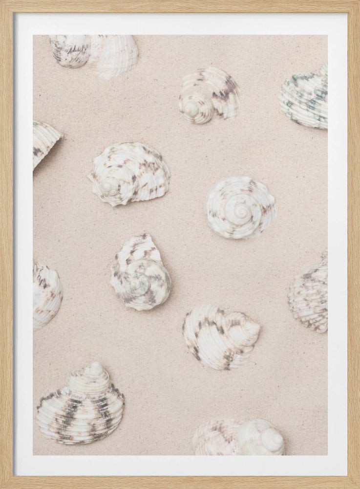 Shells_2 | Poster