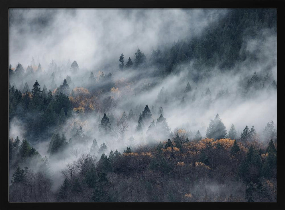 Ein Pfad im Nebel | Poster