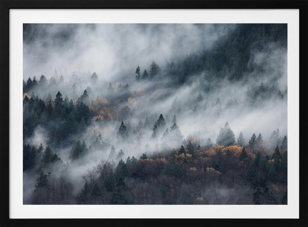 Ein Pfad im Nebel | Poster
