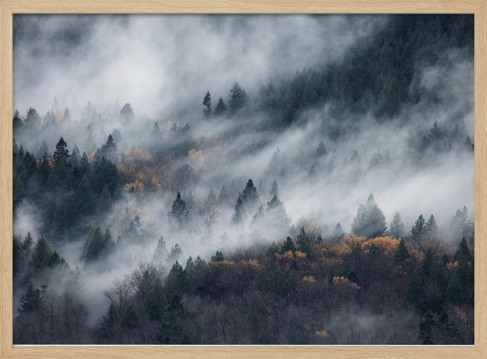 Ein Pfad im Nebel | Poster