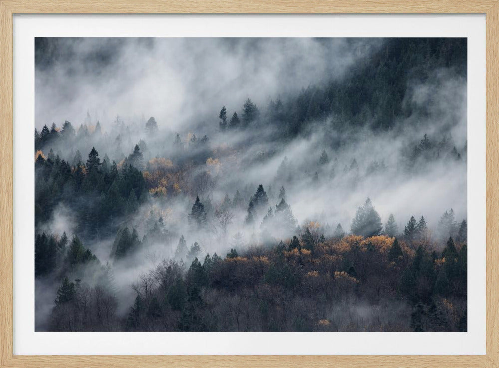 Ein Pfad im Nebel | Poster