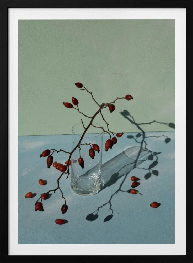 Licht &amp; Schatten | Poster