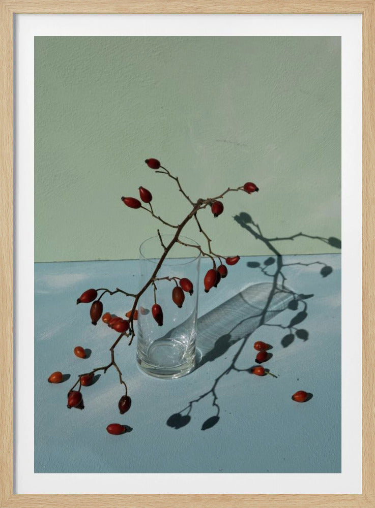 Licht &amp; Schatten | Poster