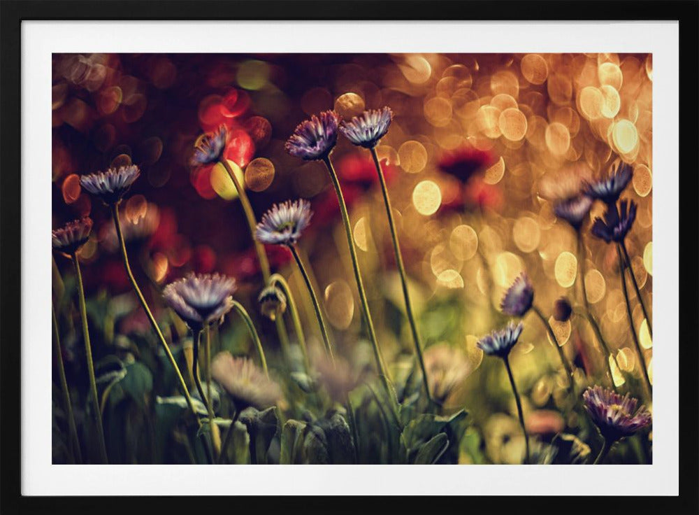 Ohne Titel | Poster