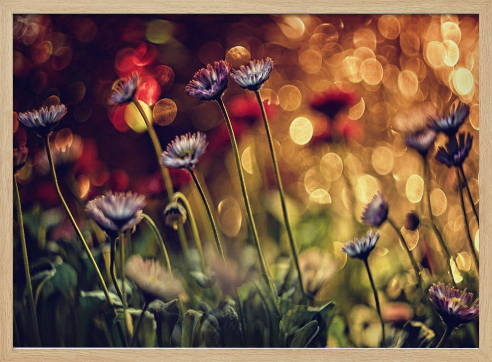 Ohne Titel | Poster