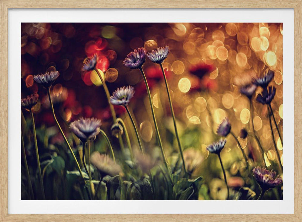 Ohne Titel | Poster