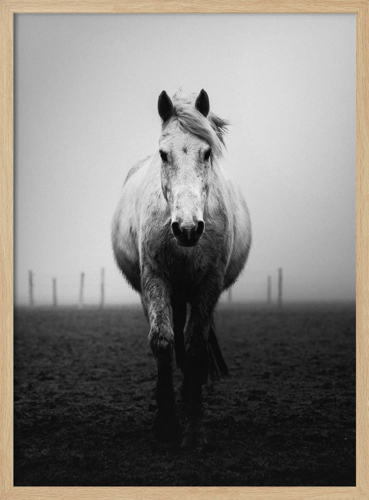 Selbstvertrauen | Poster