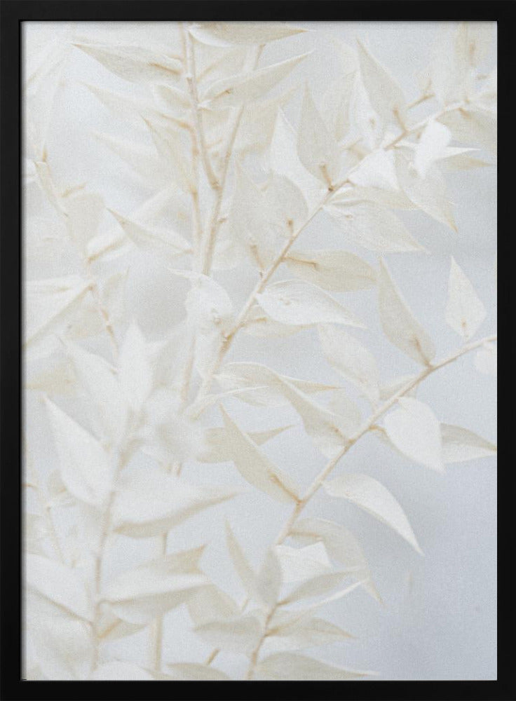 Ätherische Blätter | Poster