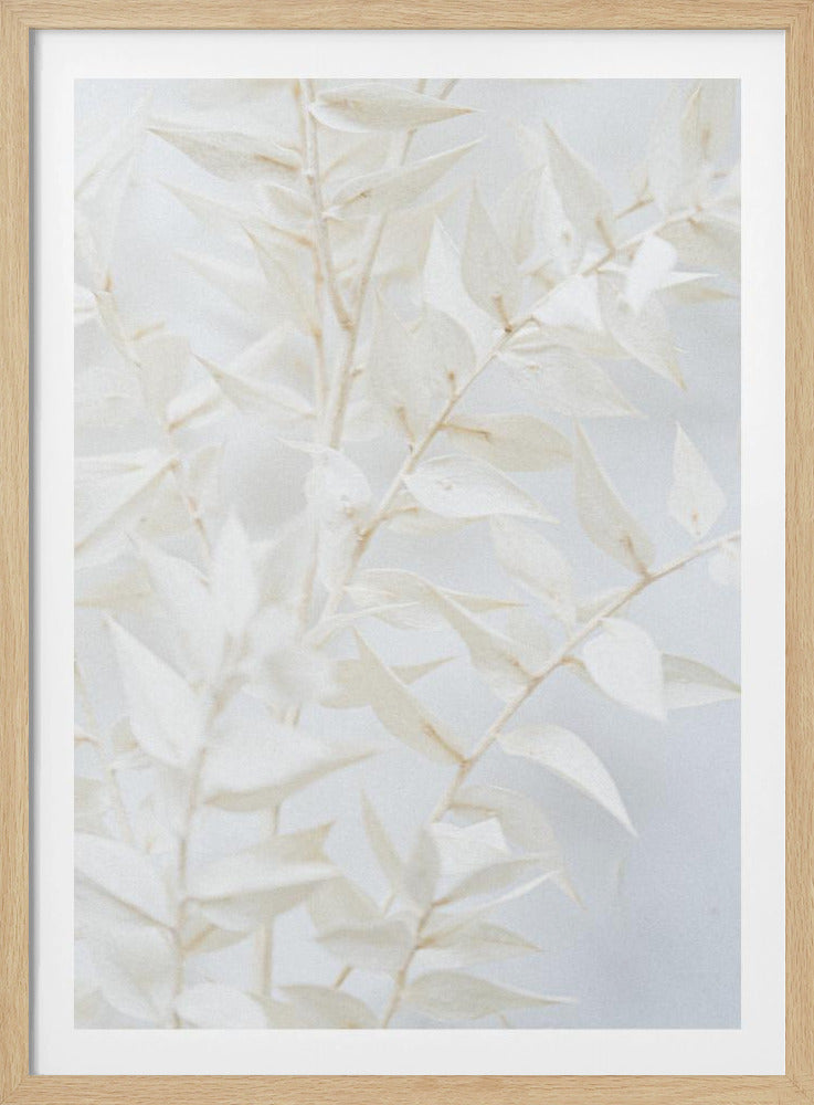 Ätherische Blätter | Poster