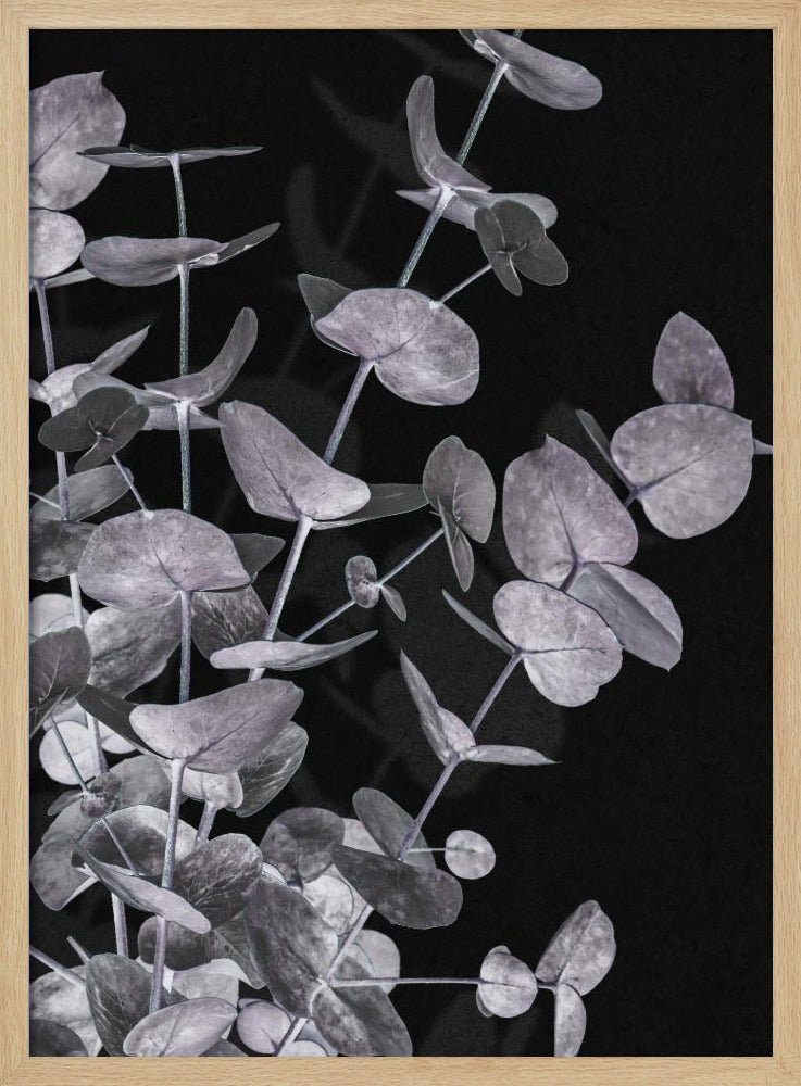 Eukalyptus_Negativ_003 | Poster
