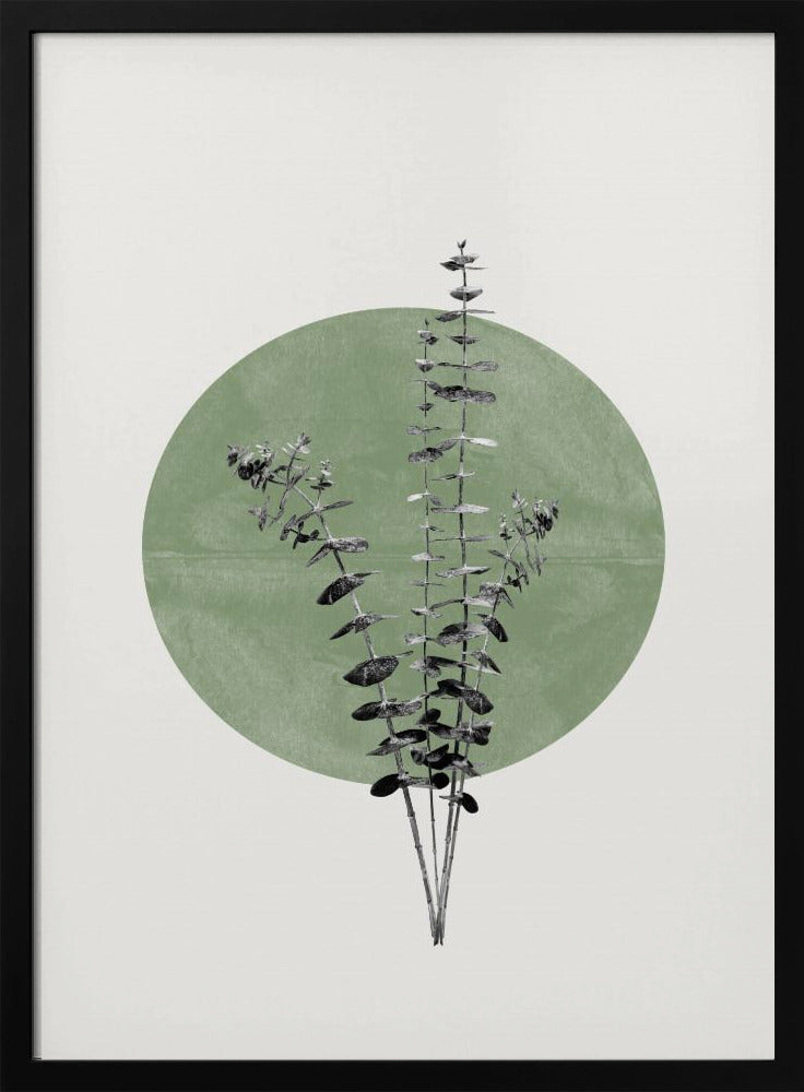 Das Echo der Natur | Poster