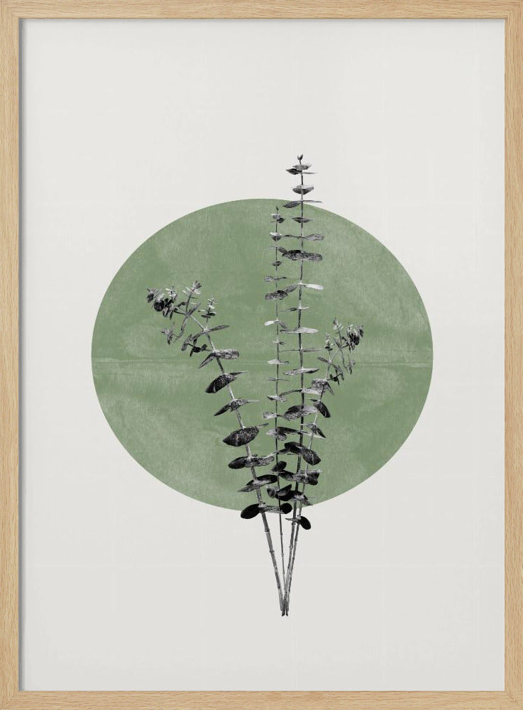 Das Echo der Natur | Poster