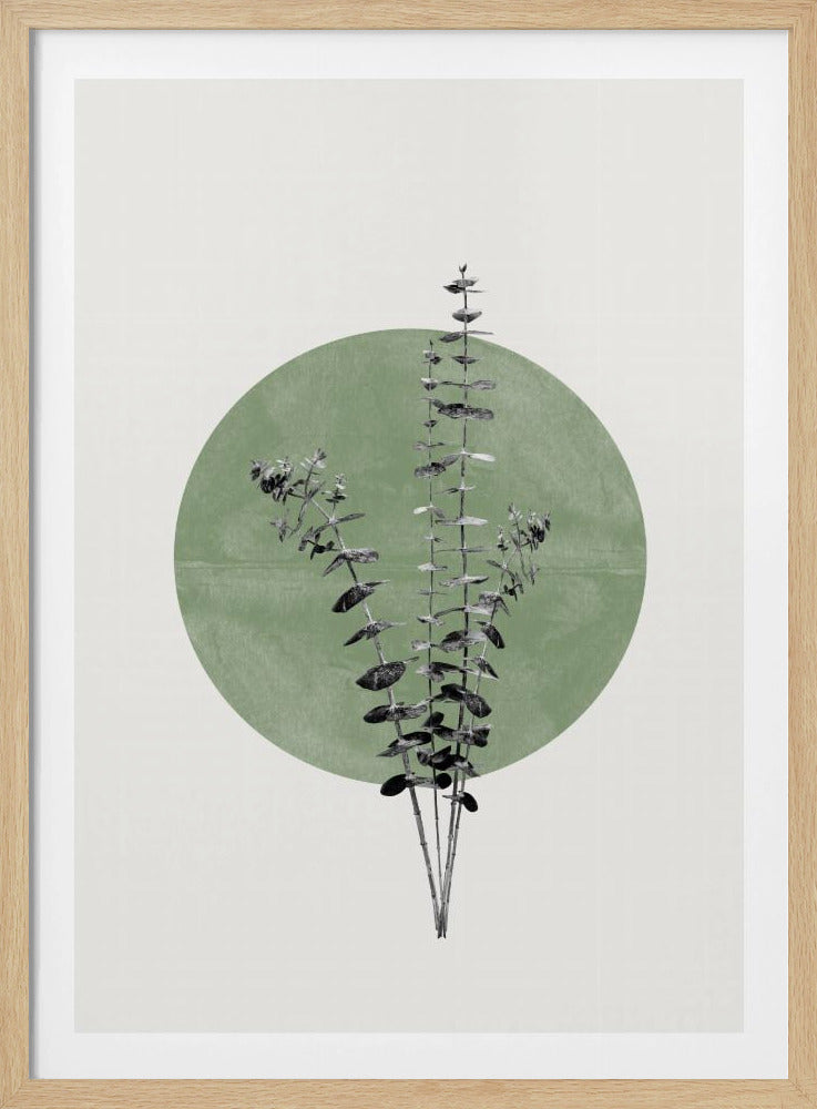 Das Echo der Natur | Poster