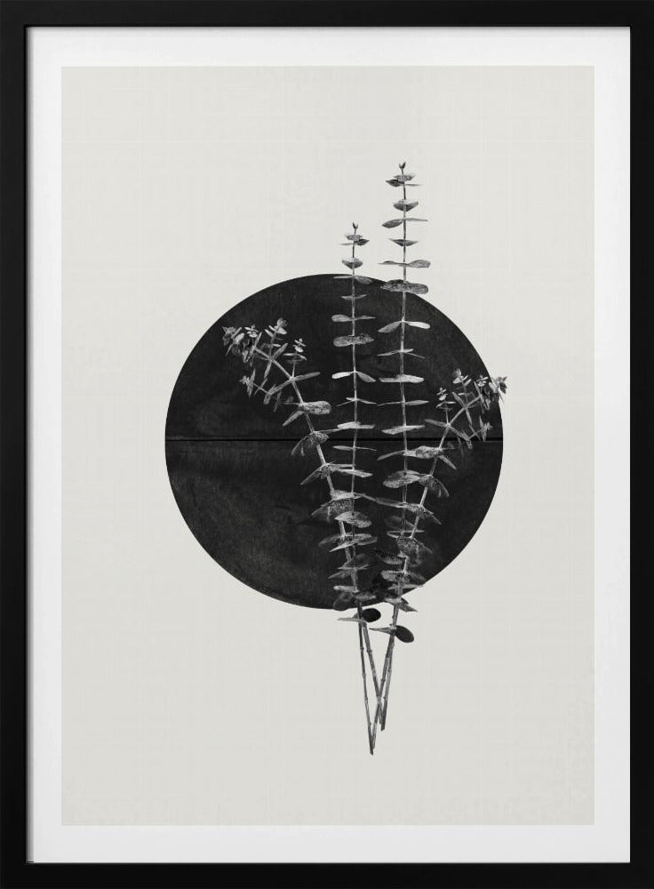 Eucalyptus Moon | Poster
