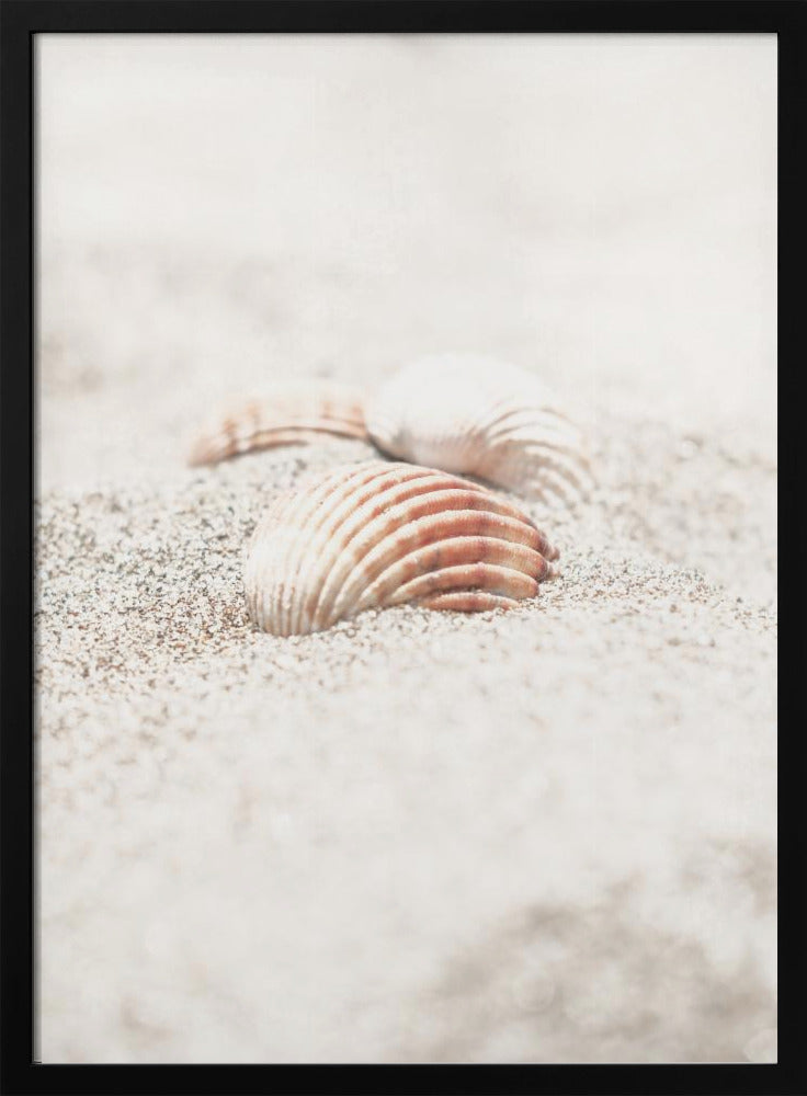 Strand_013 | Poster