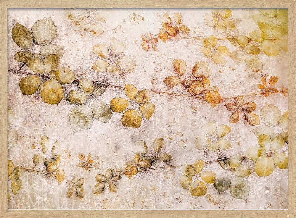 Blätter ausmalen | Poster