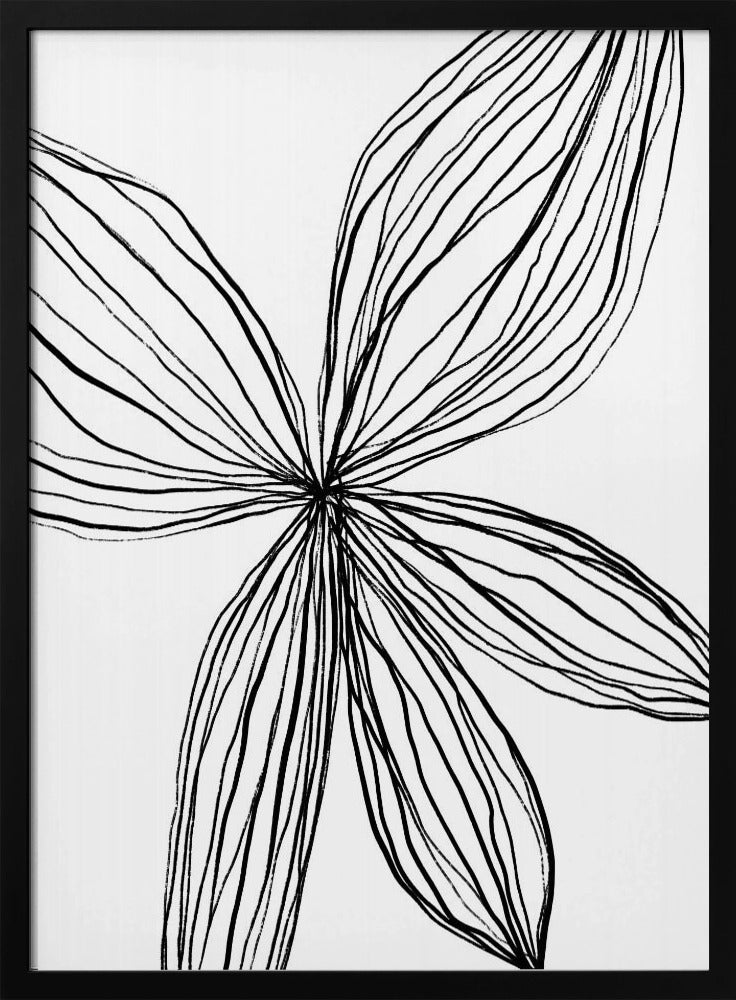 Elegante Blütenblätter | Poster