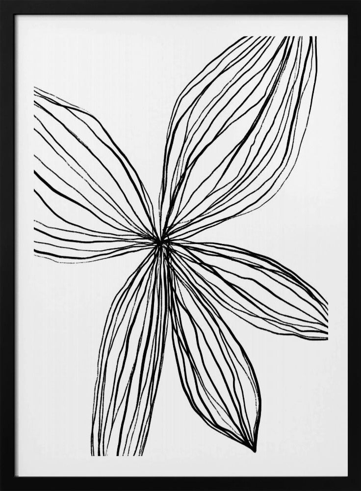 Elegante Blütenblätter | Poster