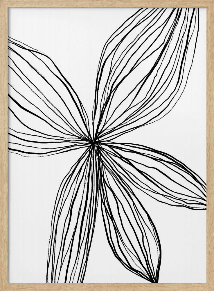 Elegante Blütenblätter | Poster